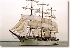 DarMlo.jpg (16022 octets) Armada de la Liberté 1994, photo B. Brelivet