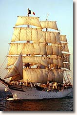 cutty-sark02.jpg (17936 octets)